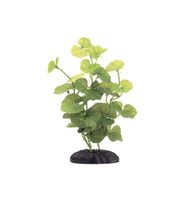 Marina Ecoscaper Hydrocotyle Silk Plant Plant, 8-Inch