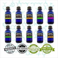 FOGG Terpenes - Original Captain's Ten Pack (30 ml)