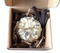 Moroccan Secret Beauty Organic Jasmine with Oud Soap, 4 oz