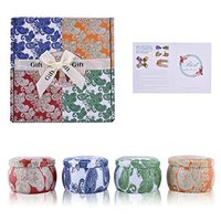 ZZCJ Scented Candles Gift Set - Aromatherapy Fragrance Jar Candle Gifts, Natural Soy Wax Portable Travel Tin Candles for Aromatherapy Relaxation Stress Relief, Christmas 4 Pack (B)
