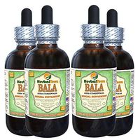 Bala (SIDA Cordifolia) Glycerite, Dried Leaves and Stems Alcohol-Free Liquid Extract (Brand Name: HerbalTerra, Proudly Made in USA) 4x4 fl.oz (4x120 ml)