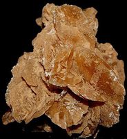 Desert Rose Gypsum Selenite Family Crystal DES1803