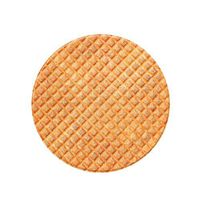 Theoylos Food Area Rugs Round Chair Cushion Soft Door Mat Wrap Blanket Non Slip Bedroom Carpet Mats