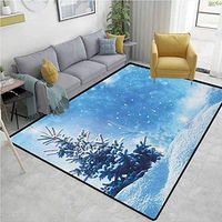 Winter Flowers Door Mat Outdoor Waterproof, Artistic Rendition of Snowy Season of Year Frozen Pine Tree Snowflakes Falling Down, Fashionable High Class Living Dinning Room(8'x 10') Blue White