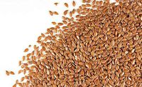 Flax Seed Whole - Certified Organic (2 lb)