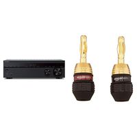 Sony STRDH590 5.2 Multi-Channel 4k HDR AV Receiver with Bluetooth & AmazonBasics Speaker Connector Banana Plugs - 6 Pairs