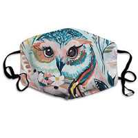 Fillter Cloth for Women Rainbows Owl Adjustable Windproof Cloth Anti Dust Ear Loops for Running Double Protection