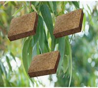 Sensation-Eucalyptus for Aroma Beam 3 Pack