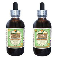 Turkey Tail Mushroom (Trametes Versicolor) Glycerite, Dried Mushroom Alcohol-Free Liquid Extract (Brand Name: HerbalTerra, Proudly Made in USA) 2x4 fl.oz (2x120 ml)