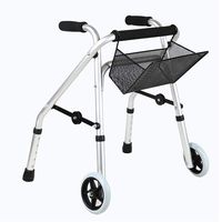 Child Drive Medical Walker Foldable, Kids Walking Aids 2 Wheels Portable, Mobility Walking Aids, Straight Walking, Aluminum Alloy Kids Walking,Gray