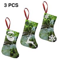 Christmas Stockings Suits Rainforest Funny for Funny Xmas Party