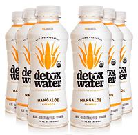 Detoxwater Prebiotic Aloe Water - Mangaloe (Mango) 16 Fluid Ounces, Pack of 6