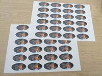 Minilabel Pack Of 48 Robin, 40X20mm Oval Seal Labels, Stickers For Craft, Decoration, Gift Wrapping, Presents, Envelopes, Bags Or Cards