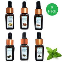 Beaver Brook Essential Oil-100% Pure & Therapeutic Grade for Aromatherapy, Relaxation, Steamer, Massage, Sleep, Positive Mood, Meditation & Yoga, Perfumery, Baths, Hair Care, Saunas - 12ml