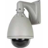 PTZ Outdoor Speed Dome 12V 700TVL