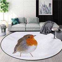 RUGSMAT Bird Round Area Rug,Cute European Robin Standing in Snow Songbird Beak and Feathers Winter Season Living Dinning Room & Bedroom Rugs,Diameter-39 Inch Tan Orange White