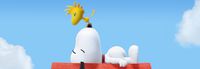 Snoopy's Grand Adventure - Wii U
