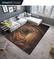 Bigdatastore Cave Contemporary Area Rug Large, Ancient Geologic Formation in Digital Painting Style Subterranean Tunnel with a Gate, Easy Maintenance Area Rug Living Room Bedroom Carpet(4'x 6')