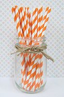 25 Stripped Paper Straws Birthday Wedding Baby Shower Party - Orange Striped