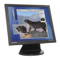 Samsung SyncMaster 193S 19" LCD Monitor (Black)