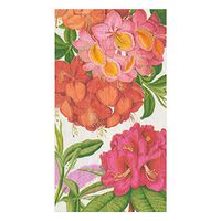 Caspari Jefferson's Garden Study Paper Guest Towel Napkins in White - Two Packs of 15