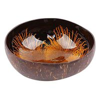 WWSHM Creative Natureal Coconut Bowl Ink Creative Ornament Storage Bowl Eco Friendly Soup Salad Noodle Storage Section Coconut Bowl (Color : Yellow)