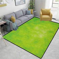 Lime Green Paisley Area Rug Non Slip, Cloudy Shade of Color Pastel Toned Hazy Backdrop Irish Tones Artistic Digital, Durable Rugs - Living, Dinning, Office, Rooms & Bedrrom, Hallway Carpet(3'x 8')