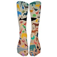 DNUPUP's Colour Zoo Pattern Body Building Premium Calf High Athletic Socks Sports Outdoor