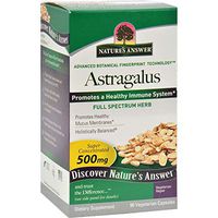 Nature's Answer Astragalus Root - 500mg - Immune System - 90 Vegetarian Capsules