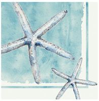 Cypress Home Cocktail Beverage Paper Napkins, Star Fish Sea Life, 40 ct