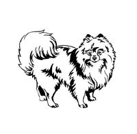 JS Artworks Cute Pomeranian Vinyl Decal Sticker (Black)