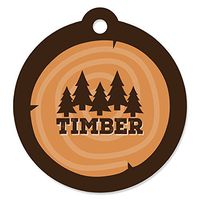 Big Dot of Happiness Lumberjack - Channel the Flannel - Buffalo Plaid Party Favor Gift Tags (Set of 20)