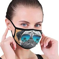 Dog with Reflecting Aviators Palm Trees Tropical Environment Cool Pet Animal Decorative Anti-Dust Earloop Mouth Masks for Women Men Kids Windproof Face and Nose Cover - Reusable & Washable