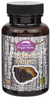 Dragon Herbs Wild Siberian Chaga Mushroom - 500 mg - 100 Capsules - 100% All Natural, Supreme Ingredients, Non-GMO, Vegan, Vegetarian, Superfood, Premium Extract