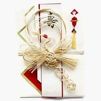Frontia Shugi Bukuro Japanese Traditional Money Gift Envelope Wedding Washi Mizuhiki Handmade (Phoenixi Extreme)