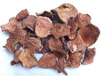 Delicious suillus bovinus Mushroom 1200 grams dried, Grade A