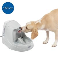 PetSafe Drinkwell Platinum Dog and Cat Water Fountain, Automatic Drinking Fountain for Pets, 168 oz.