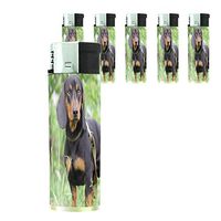 Dog Dachshund 01 Lighter Set of 5 Pieces