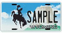 Custom Personalized Metal License Plate Your Name Your State - Choose from All 50 States (Wyoming, 6" x 12" Super Thick (.045"))