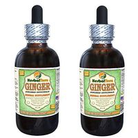 Ginger (Zingiber Officinale) Glycerite, Organic Dried Root Alcohol-Free Liquid Extract (Brand Name: HerbalTerra, Proudly Made in USA) 2x4 fl.oz (2x120 ml)