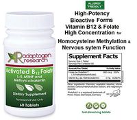 Activated B12 Folate Lozenges Formula | High Potency Methylcobalamin Metafolin Folate L-5-MTHF | Bioactive Forms Vitamin B12 and Folate | 60 Fast-Dissolving Tablets |Adaptogen Research