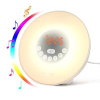 Suntrue - Sunrise Alarm Clock for Heavy Sleepers with 6 Nature Sounds, FM Radio, Snooze Function, Touch Control, Brightness Adjustable for Kids 