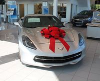 30" Giant Velvet Magnetic Car Bow - Made in USA