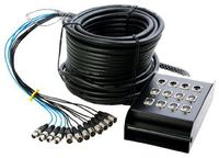 In Line Audio 8 Channel Audio Snake - (Black) (100 Feet)