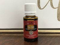 Tea Tree (Melaleuca Alternifolia) Essential 15ml Oil by Young Living Essential Oils