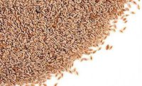 Psyllium Seed Husk Whole; 85% Mucilloid Content (2 lb)