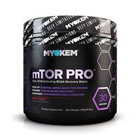 mTOR PRO - Multi Phase 2:1:1 Instantized BCAA Powder, Amino Acid Supplement | Boost Hydration and Recovery with BCAAs, EAAs, Valine, Leucine, Isoleucine and Electrolytes | Fruit Punch, 30 Servings