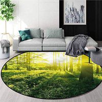 RUGSMAT Nature Round Rugs for Bedroom,Greenland Morning Grass Bedroom Home Shaggy Carpet Round-63