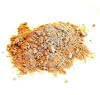 Cordyceps Mushroom Powder (Cordyceps sinensis), USDA Certified Organic, 1 oz.