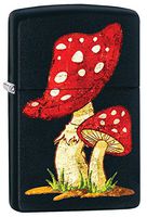 Mushroom Zippo Outdoor Indoor Windproof Lighter Free Custom Personalized Engraved Message Permanent Lifetime Engraving on Backside